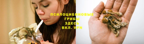 каннабис Бородино