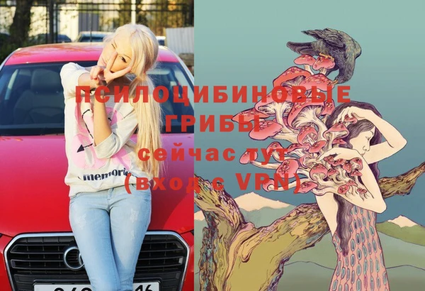 винт Бронницы